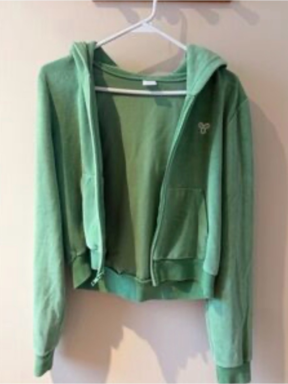 TNA by Aritzia Green Plush Matte Velour Cropped Zip Up Hoodie-Kangaroo Pockets